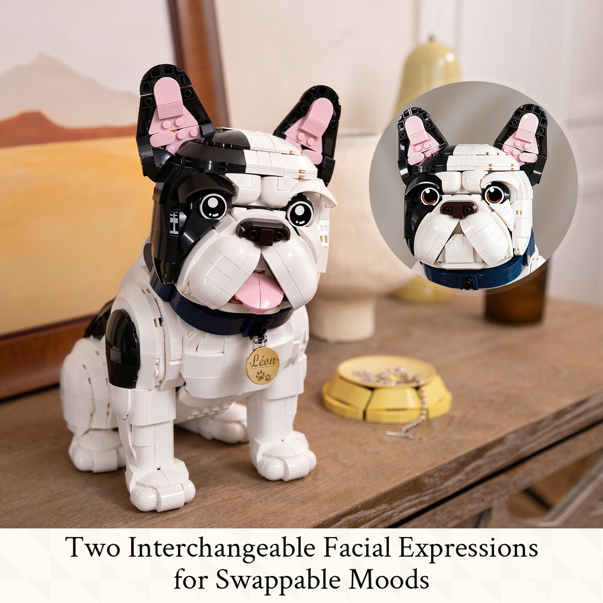 French Bulldog - Léon