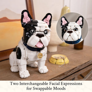 French Bulldog - Léon