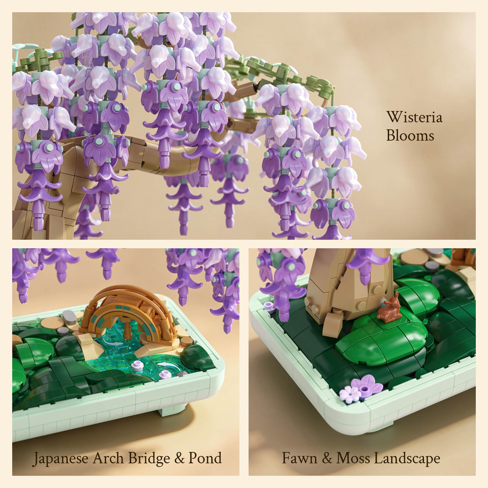 Wisteria