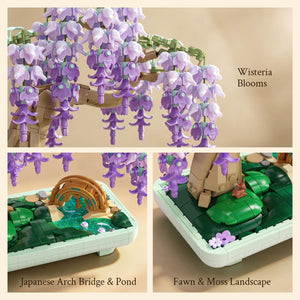 Wisteria