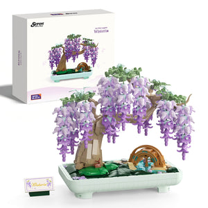 Wisteria