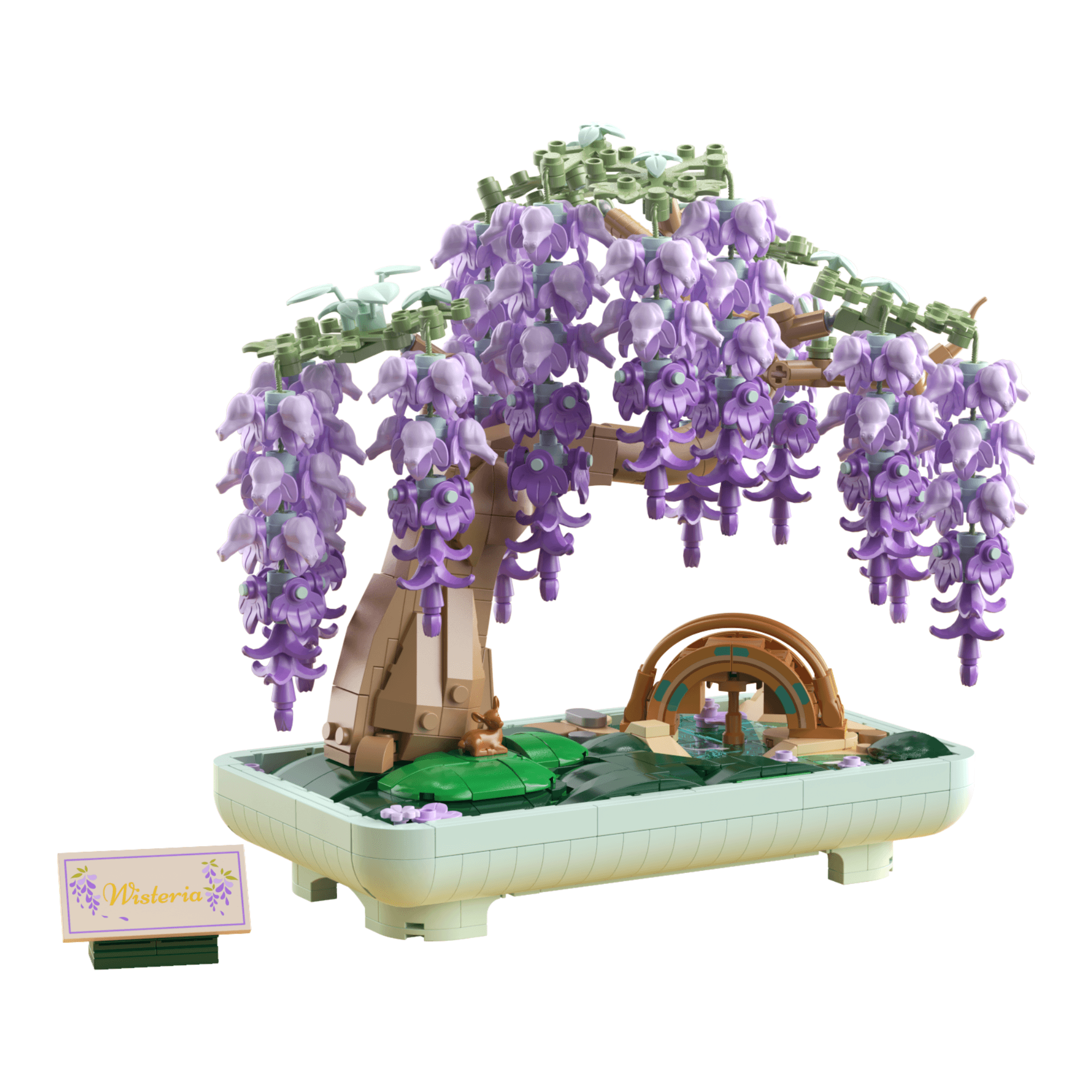 Wisteria