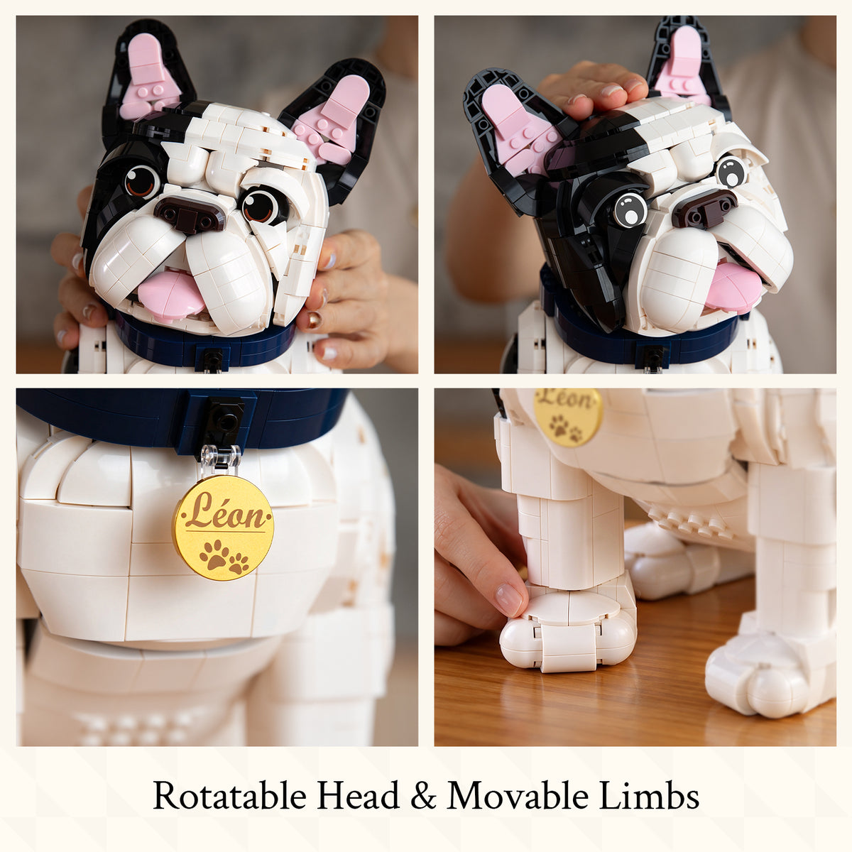 French Bulldog - Léon