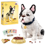 French Bulldog - Léon