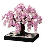 Sakura Zen