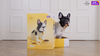 French Bulldog-Léon-French Bulldog Building Blocks